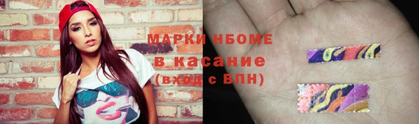 PSILOCYBIN Алзамай