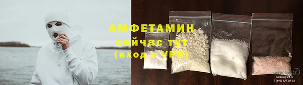 PSILOCYBIN Алзамай