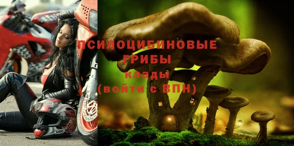 гидропоника Алексин