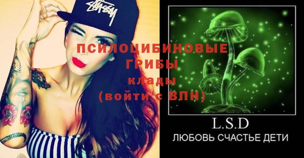 PSILOCYBIN Алзамай