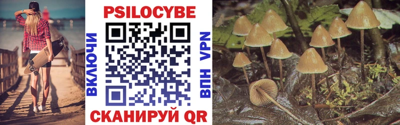 Галлюциногенные грибы Cubensis  Сосновоборск 